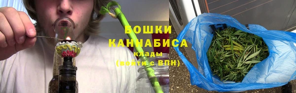 крисы Армянск