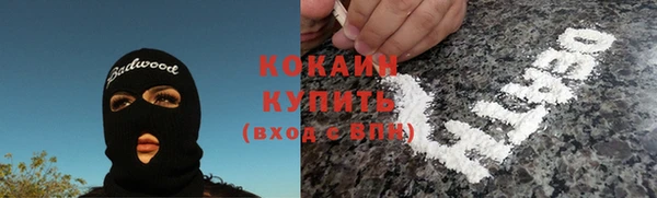 дживик Аркадак