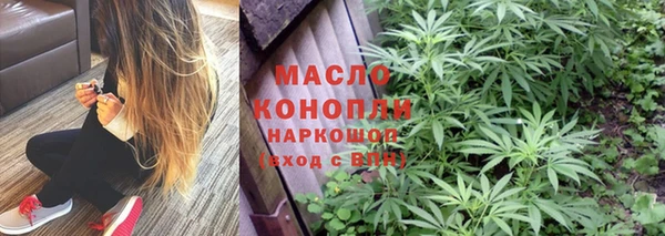 крисы Армянск