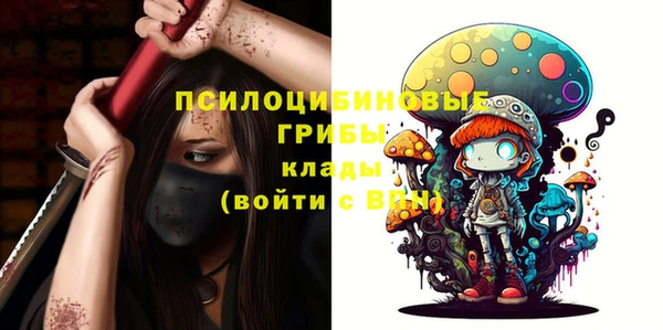 крисы Армянск