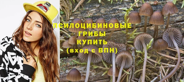 бутират Арсеньев