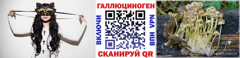 Псилоцибиновые грибы Psilocybine cubensis  Баймак 